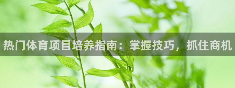 星欧娱乐公司电话号码多少