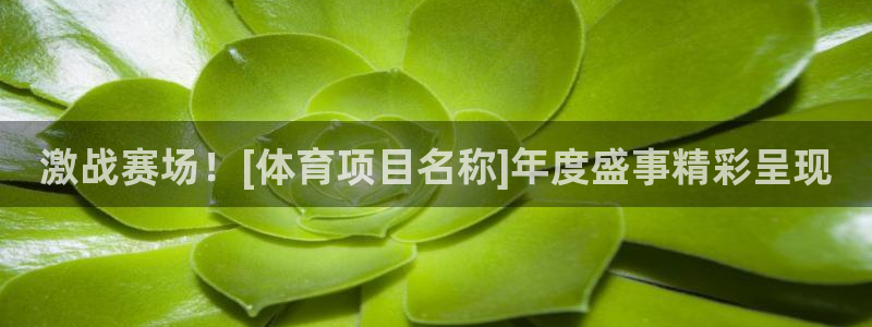 星奥娱乐艺人