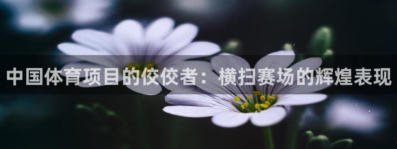 星欧娱乐扣款流程详解