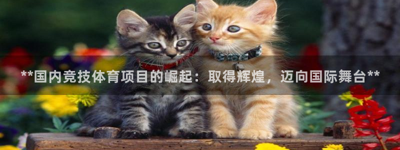 星欧娱乐热最建议去的三个地方