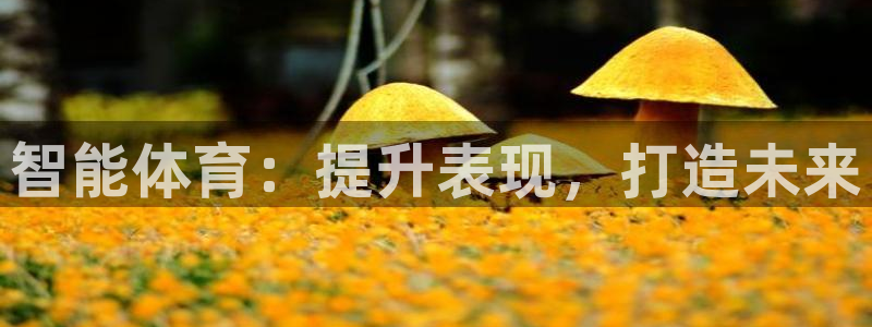 江苏星奥娱乐有限公司报名