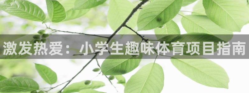 星欧娱乐载711.112使用教程详解