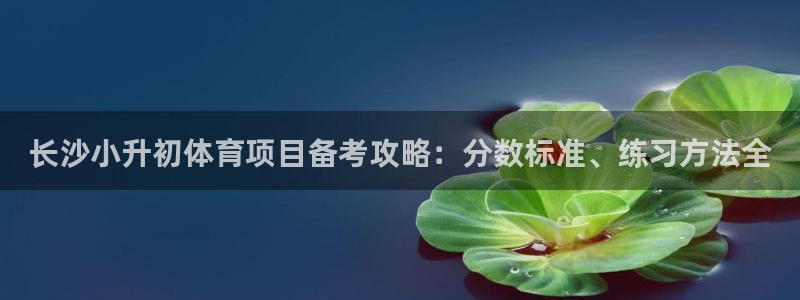 星欧娱乐最建议买的三个游戏账号