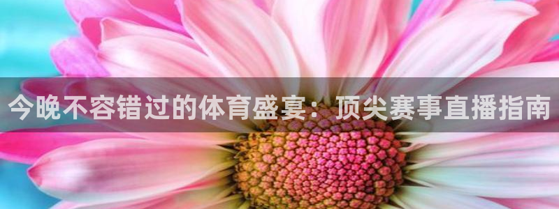 星娱乐online