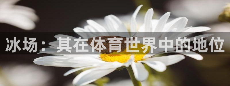 星欧娱乐联4.8.5.6.2.4.3下载