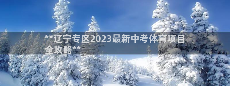 星欧娱乐挂机教程