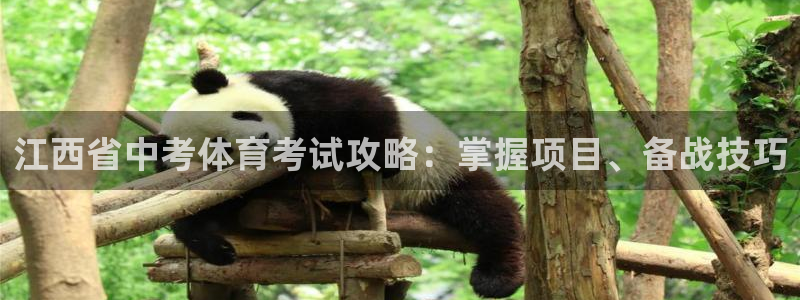 星欧娱乐最建议买的三个游戏