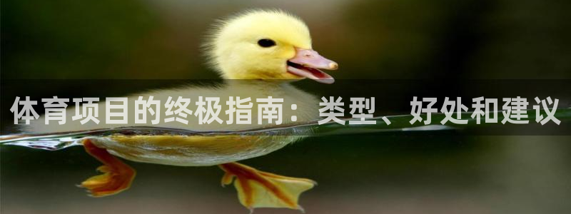 星欧娱乐最建议买的三个产品有哪些