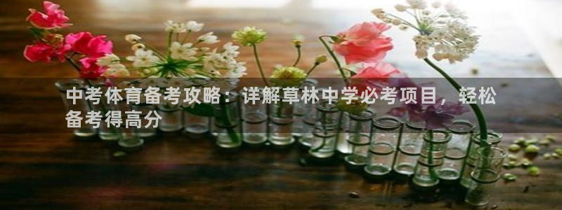 星欧娱乐平台测速线路怎么设置