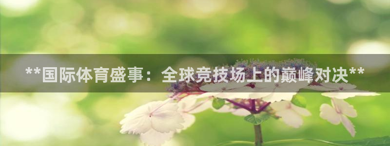 星奥娱乐集团官网