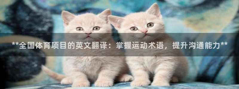 星欧娱乐最建议买的三个产品是什么意思