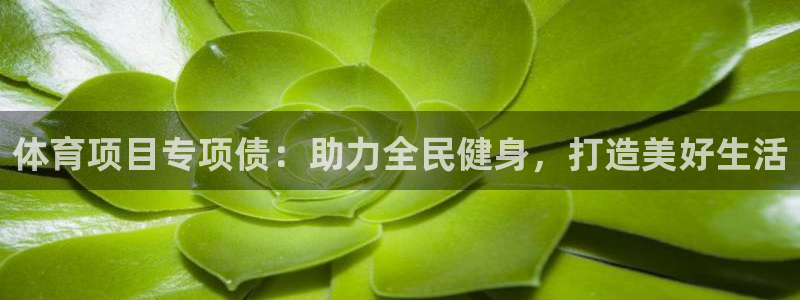 星欧娱乐app最新版本更新内容下载