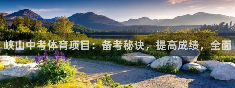 星欧娱乐扣款时间查询方法怎么查的