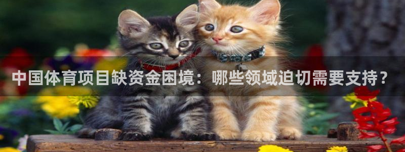 星欧娱乐平台怎么样啊安全吗