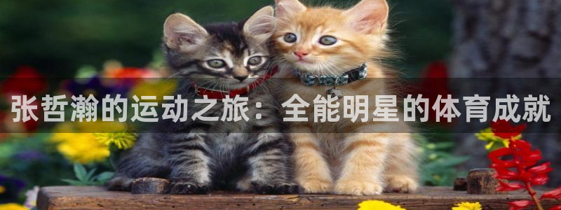 星欧娱乐官网