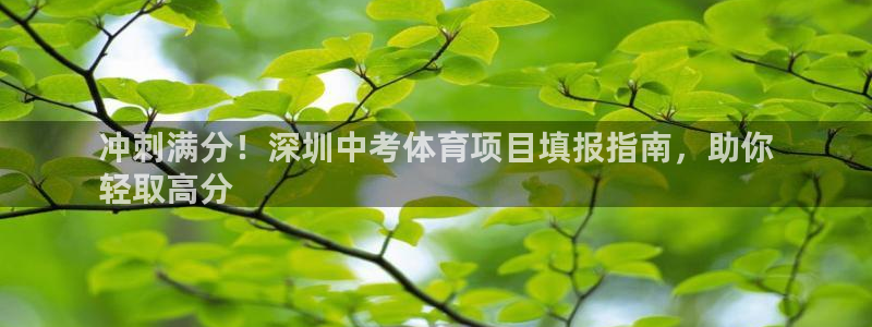 星欧娱乐测速