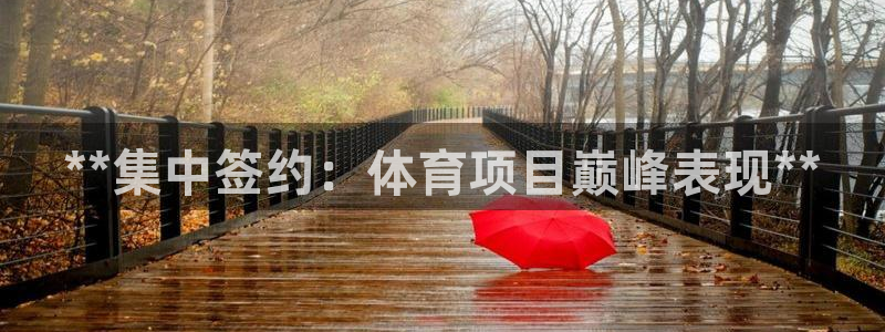 星欧娱乐公司电话号码