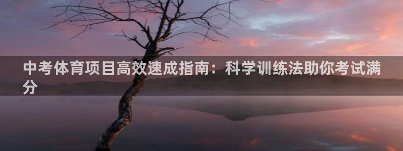 星欧娱乐挂机赚钱