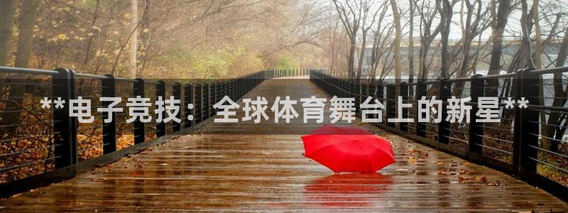 星欧娱乐扣款时间查询方法怎么查