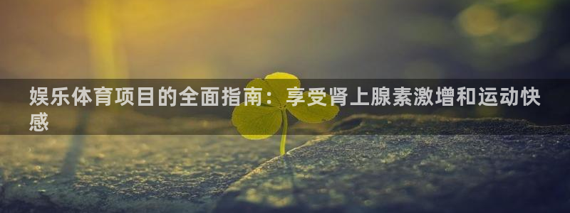 星欧娱乐平台怎么样可靠吗知乎