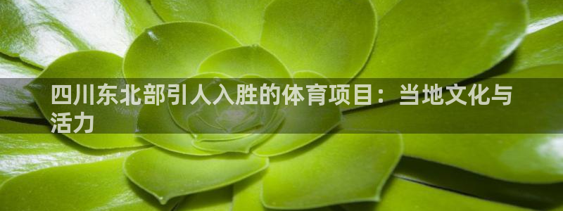 星欧娱乐发7O777