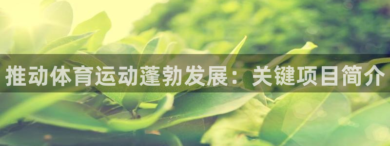 星欧娱乐app最新版本更新内容是什么