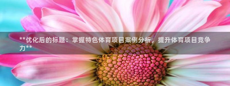 星欧娱乐扣款流程详解图片