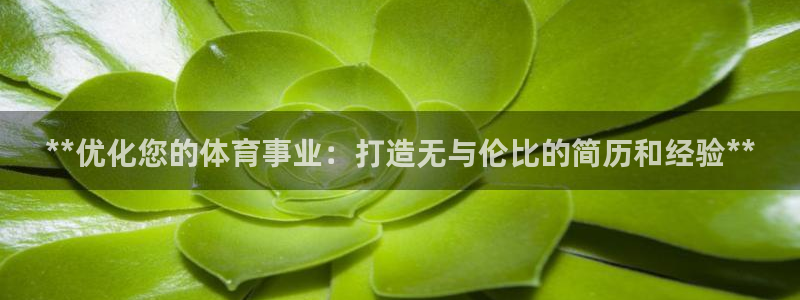 星欧娱乐属于什么档次的网站啊