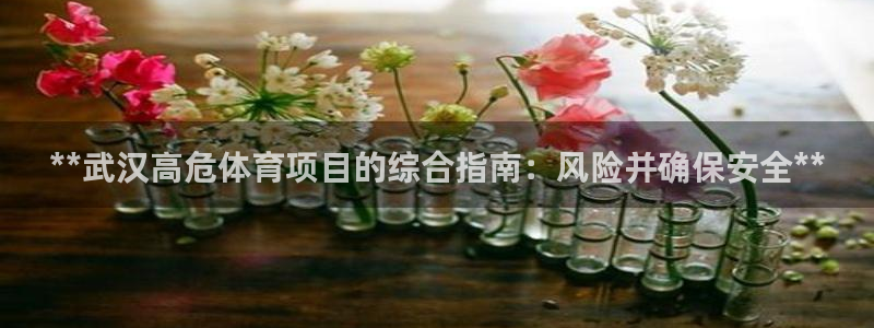 星欧娱乐公司