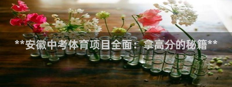 星奥娱乐集团
