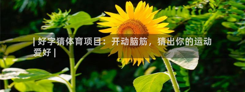 星娱乐online刘亦菲