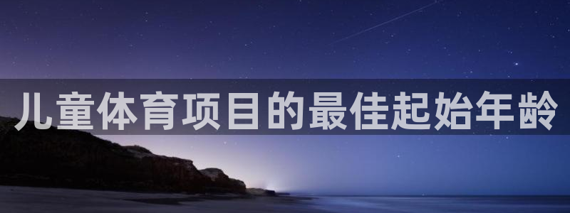星欧娱乐公司简介