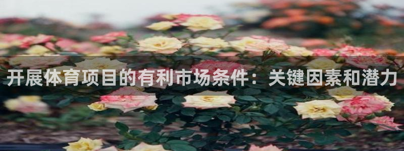 澳星国际娱乐集团