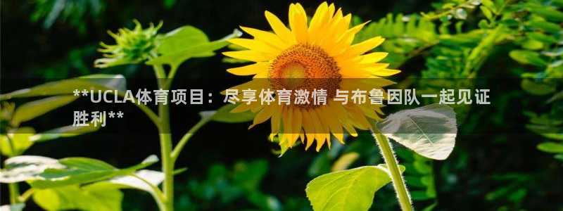 星欧娱乐联4.8.5.6.2.4.3下载