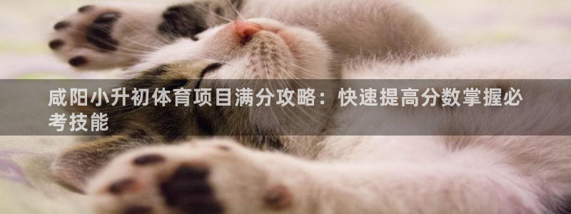星欧娱乐最建议买的三个游戏账号