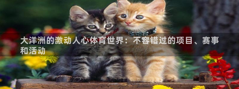 星欧娱乐测速怎么样