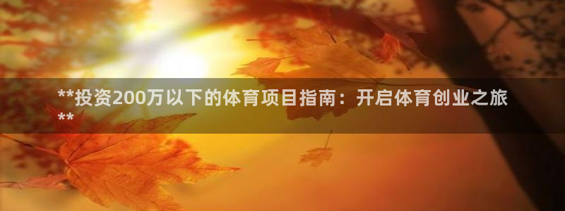 星欧娱乐扣款流程详解图