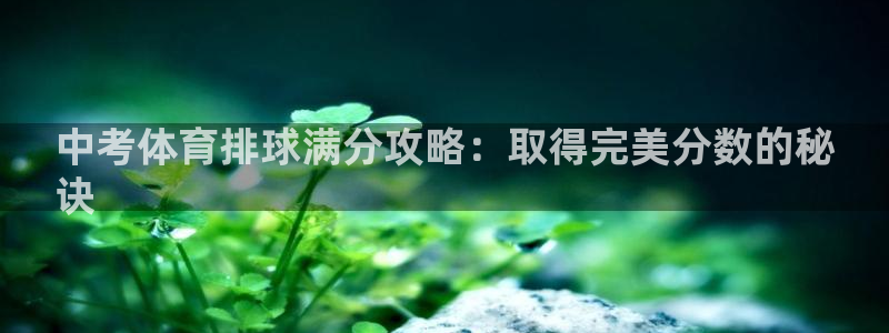 星欧娱乐游戏中心官网登录