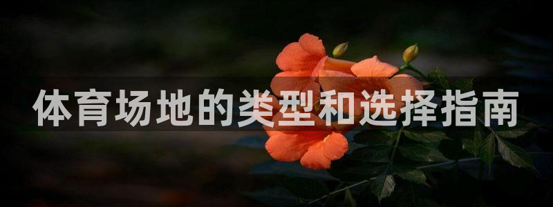 星欧娱乐还能玩吗