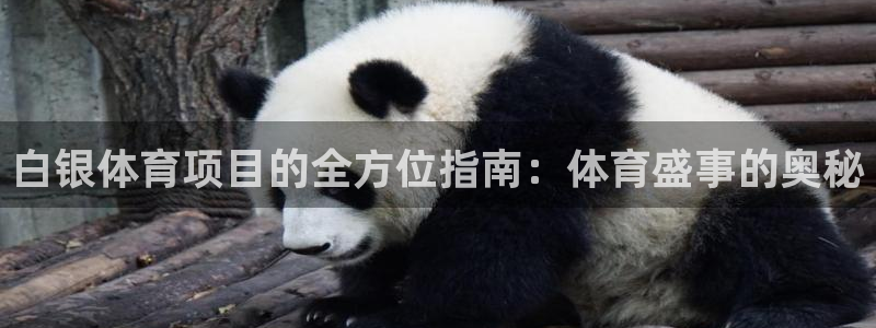 星欧娱乐属于什么档次的软件啊