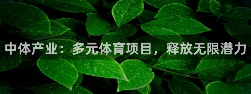 星欧娱乐属于什么档次