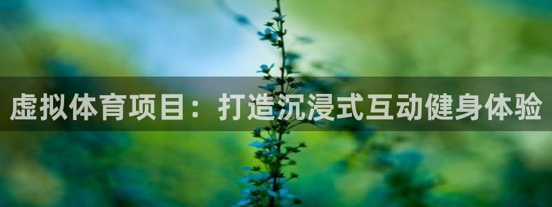 星欧娱乐公司创始人背景故事是什么
