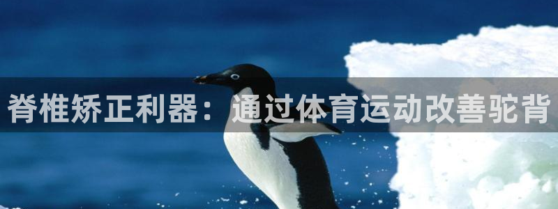 星奥娱乐集团股份有限公司怎么样