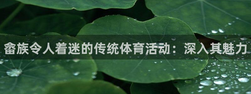 星欧娱乐扣款流程详解视频播放