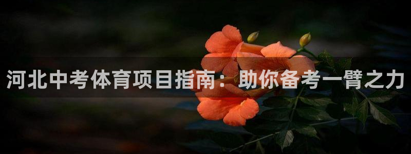 星欧娱乐官方客服联系方式电话
