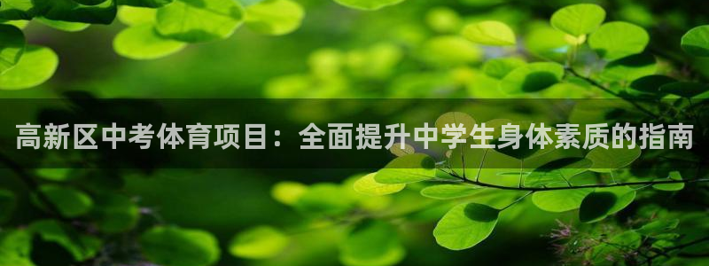 星欧娱乐属于什么档次的软件公司