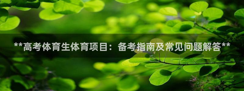 星欧娱乐的官方版本更新内容有哪些
