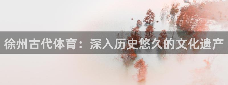 星欧娱乐雀V是什么平台