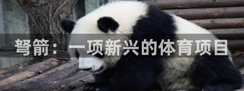 星欧娱乐公司电话号码查询