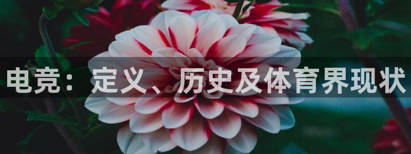 星欧娱乐扣款流程详解视频下载